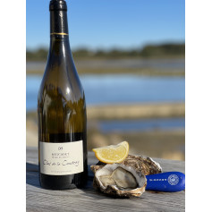 Muscadet Clos de la Coudray