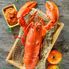 Homard breton cuit