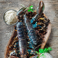 Homard breton