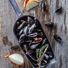 Moules de bouchot