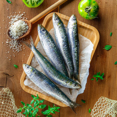 Sardines